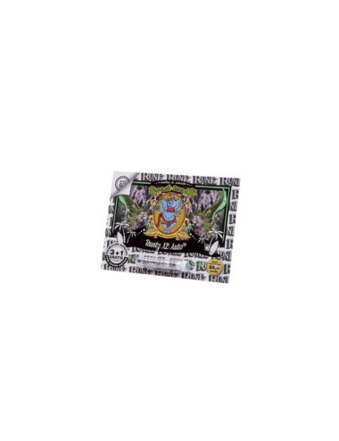 Runtz xl auto