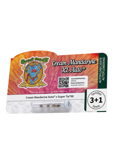 Cream mandarine xl auto