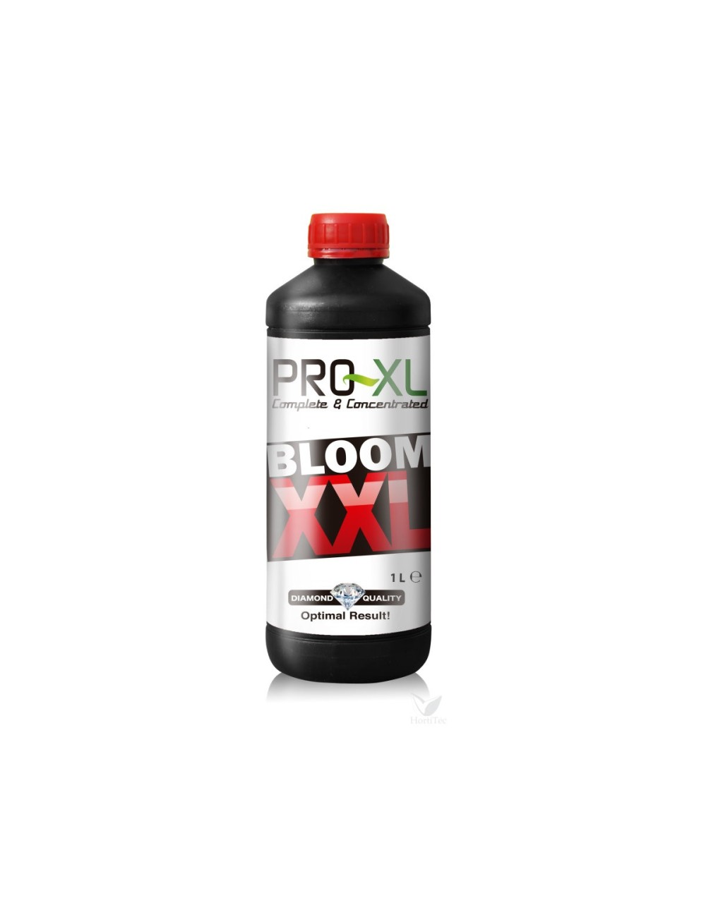 Bloom xxl