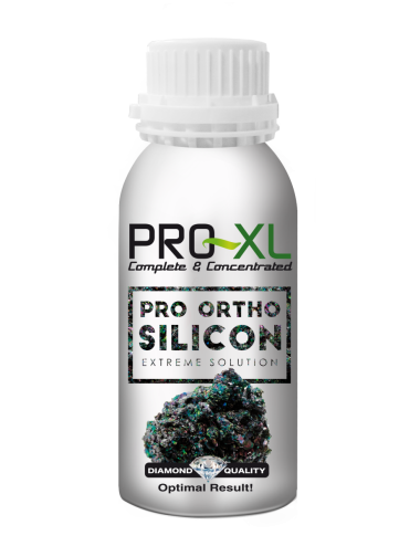 Pro-ortho silicon