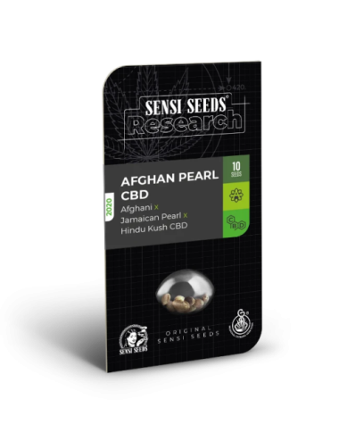 Semillas de afghan pearl cbd autoflorecientes