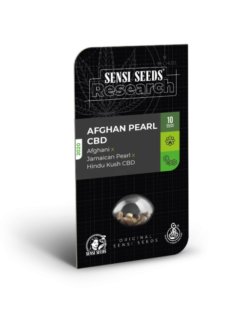 Semillas de afghan pearl cbd autoflorecientes